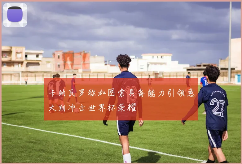 卡纳瓦罗称加图索具备能力引领意大利冲击世界杯荣耀